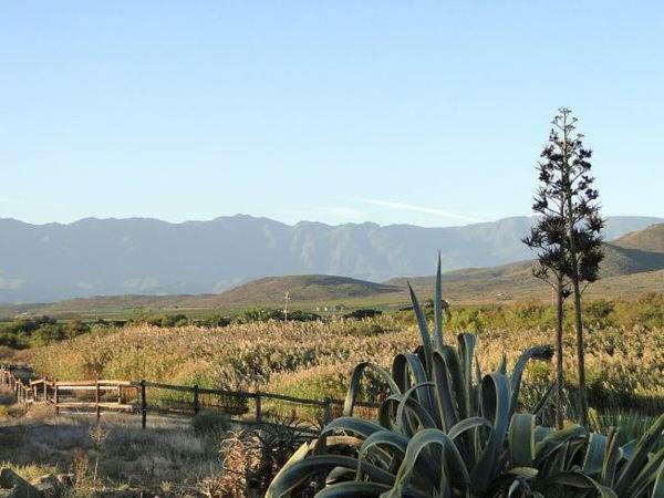Apartamento Tanagra Wine & Guestfarm McGregor Exterior foto